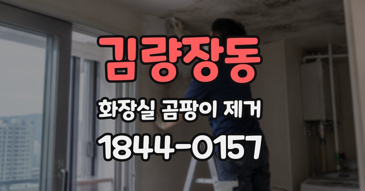 김량장동 화장실 곰팡이 제거