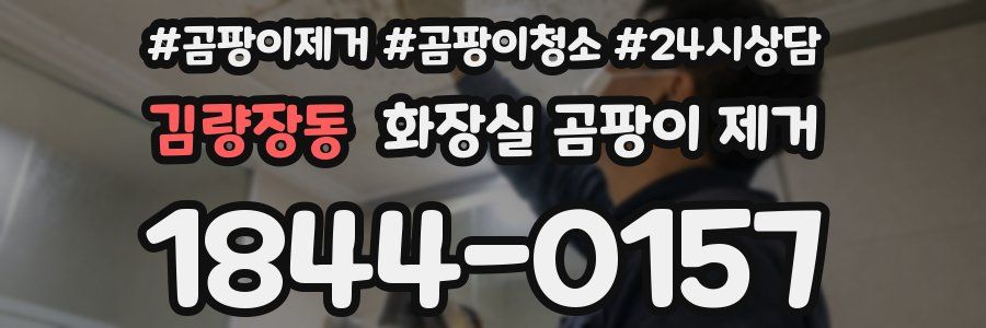 김량장동 화장실 곰팡이 제거