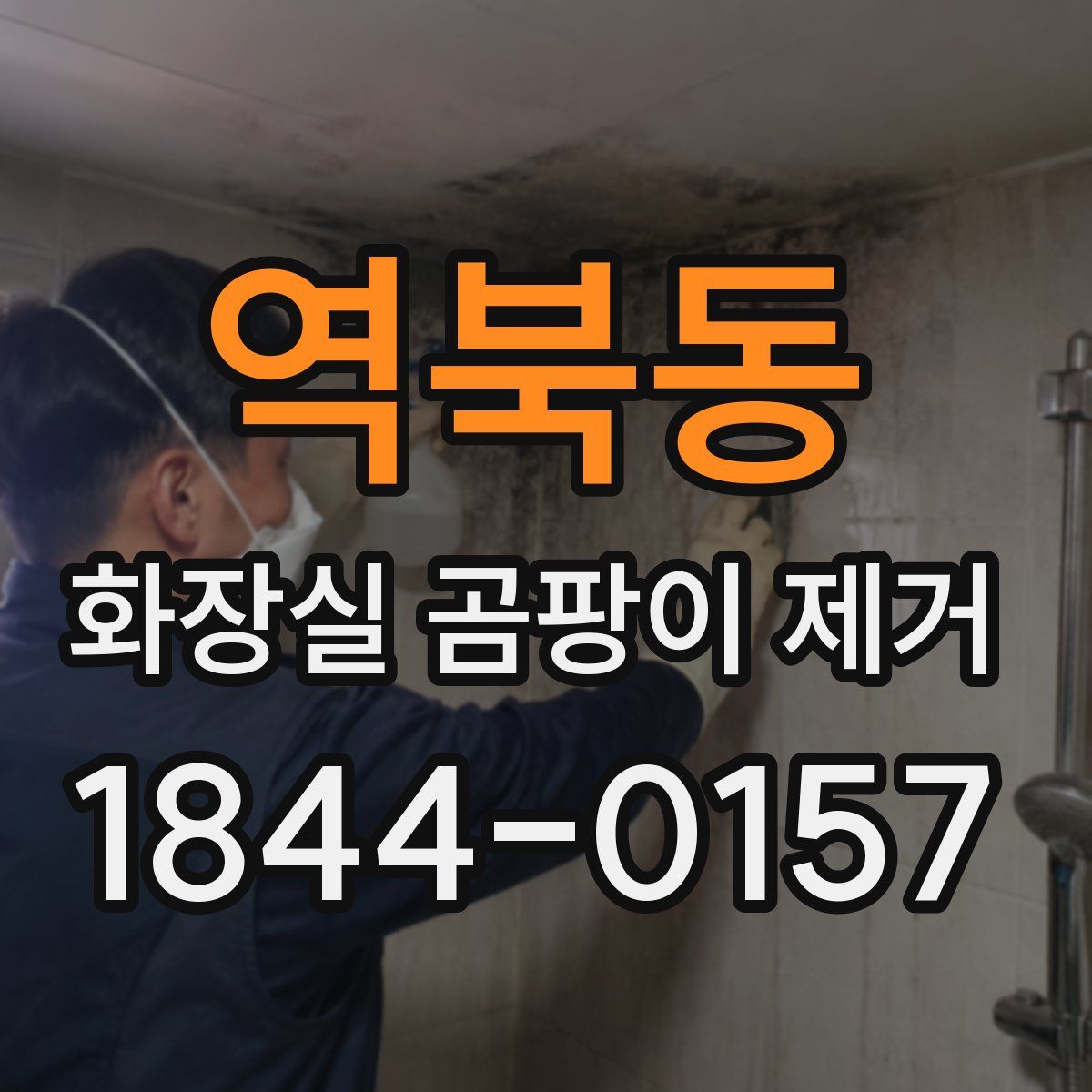 역북동 화장실 곰팡이 제거