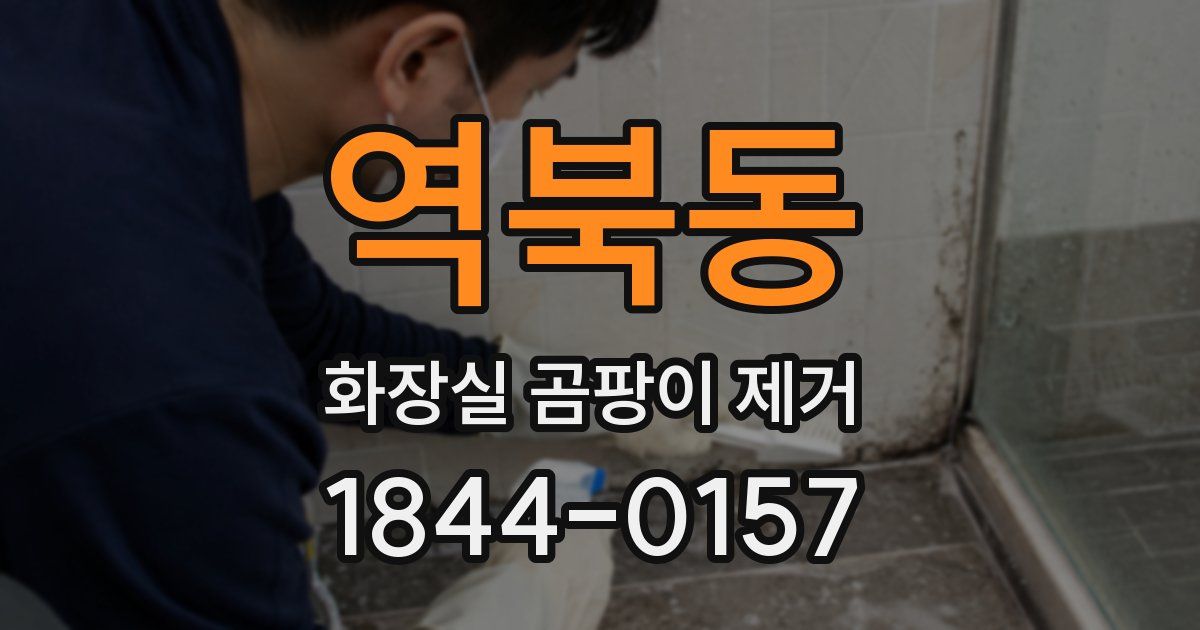역북동 화장실 곰팡이 제거