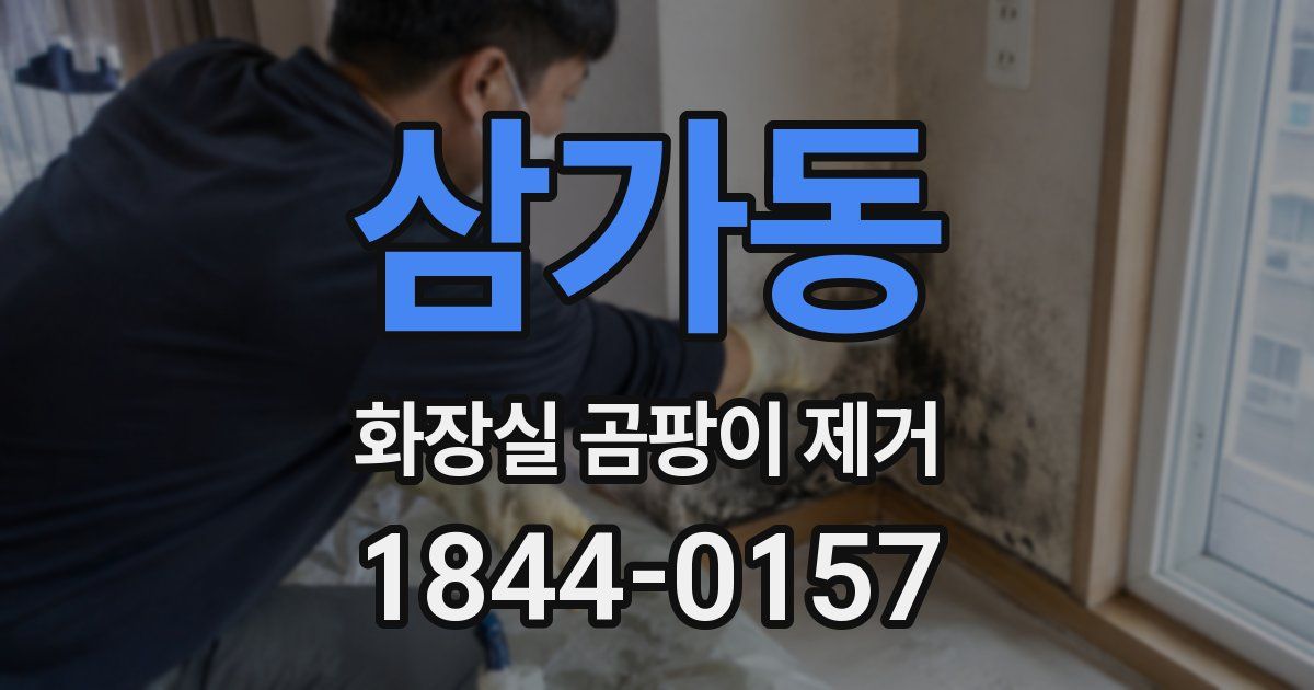 삼가동 화장실 곰팡이 제거