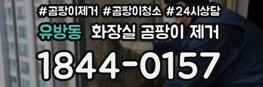 유방동 화장실 곰팡이 제거