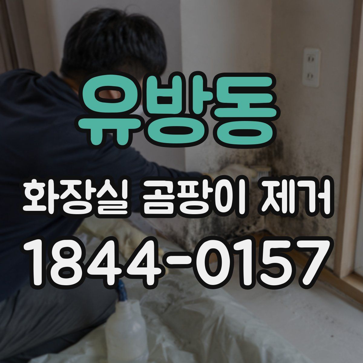 유방동 화장실 곰팡이 제거