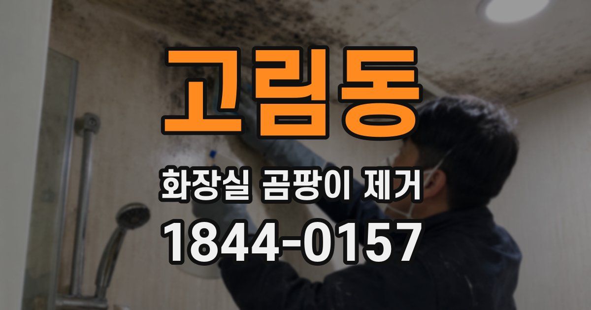 고림동 화장실 곰팡이 제거