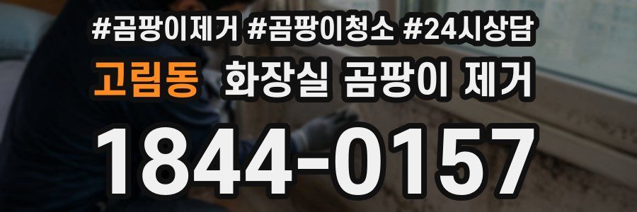고림동 화장실 곰팡이 제거