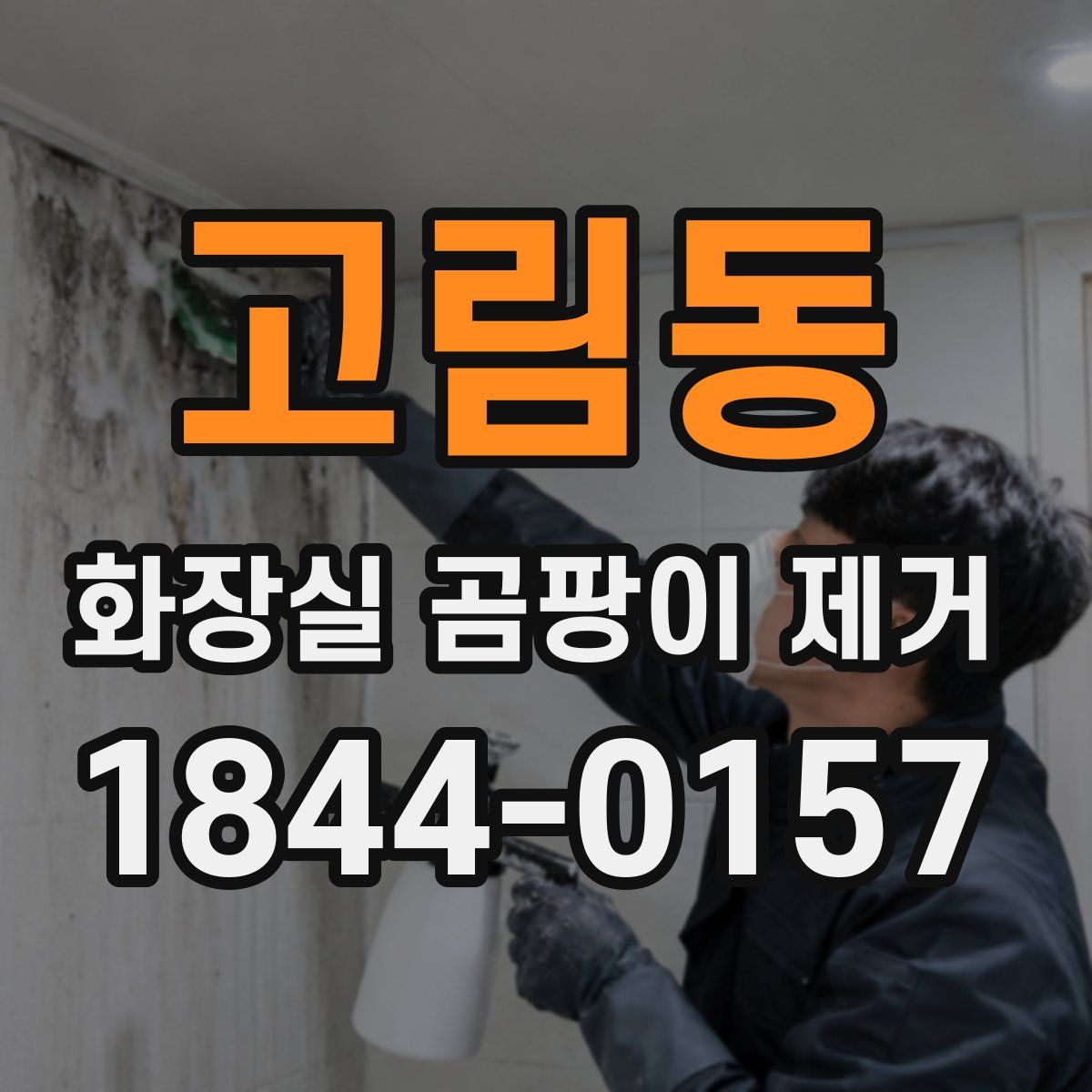 고림동 화장실 곰팡이 제거