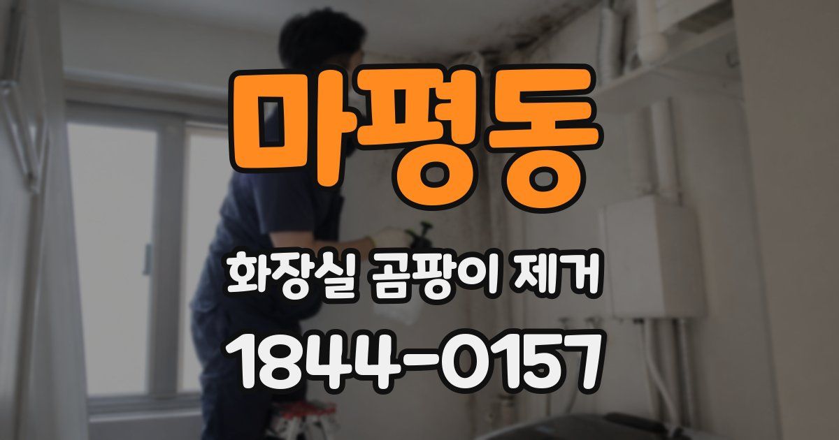 마평동 화장실 곰팡이 제거