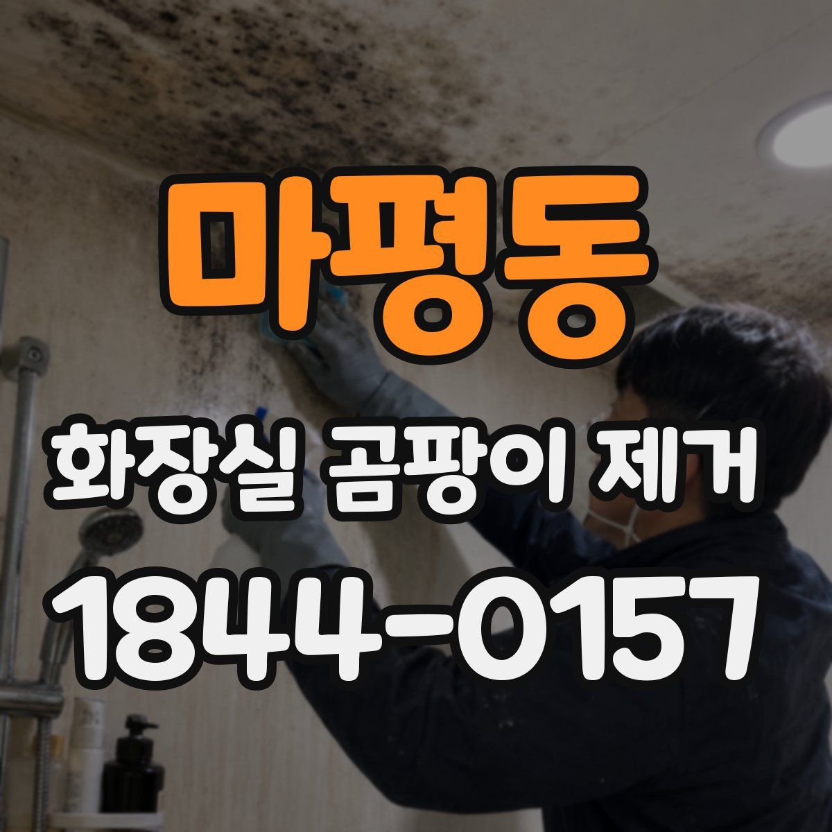 마평동 화장실 곰팡이 제거