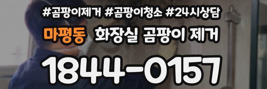 마평동 화장실 곰팡이 제거