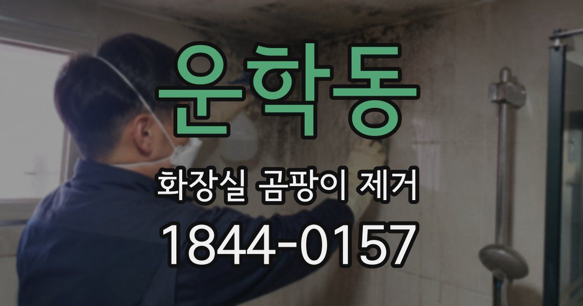 운학동 화장실 곰팡이 제거