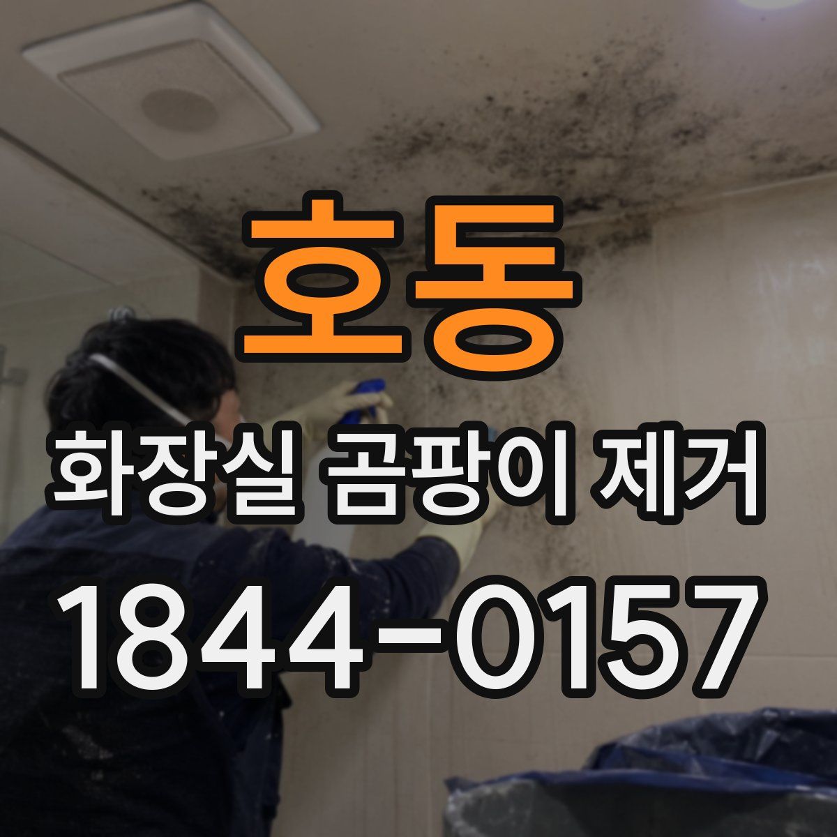 호동 화장실 곰팡이 제거