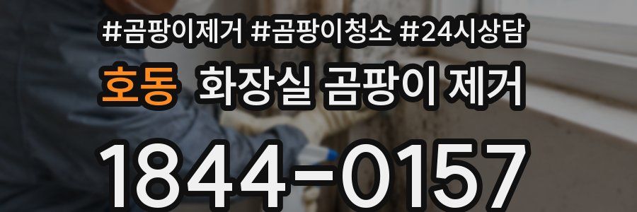 호동 화장실 곰팡이 제거