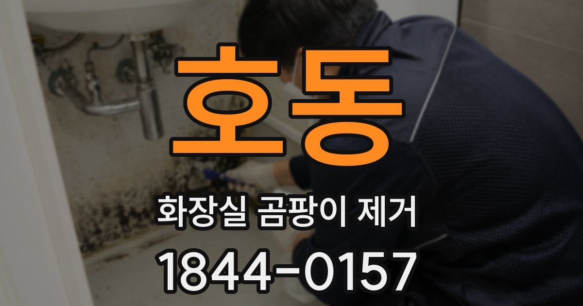 호동 화장실 곰팡이 제거