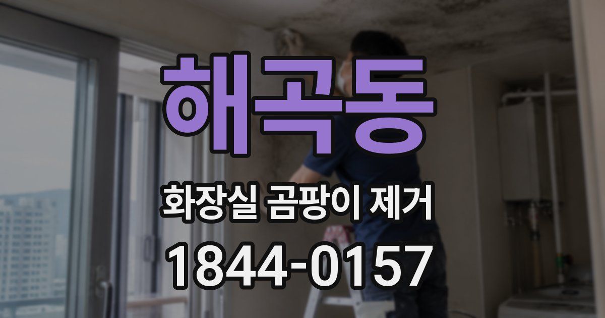 해곡동 화장실 곰팡이 제거