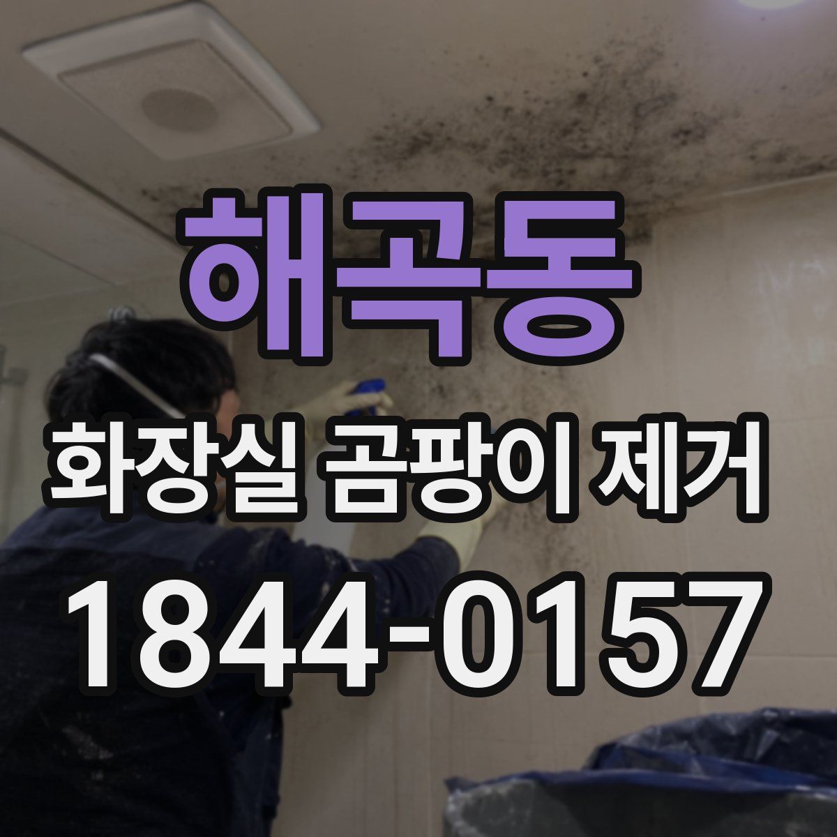 해곡동 화장실 곰팡이 제거