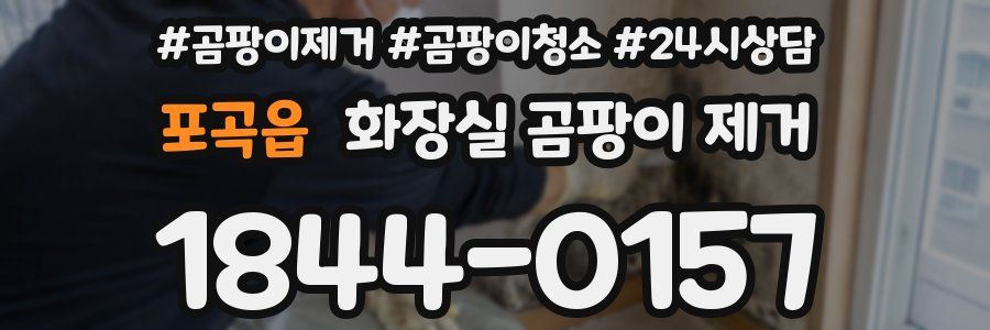 포곡읍 화장실 곰팡이 제거