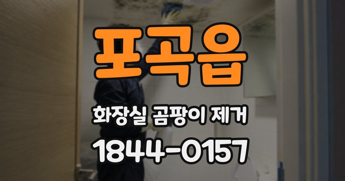 포곡읍 화장실 곰팡이 제거