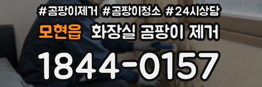 모현읍 화장실 곰팡이 제거