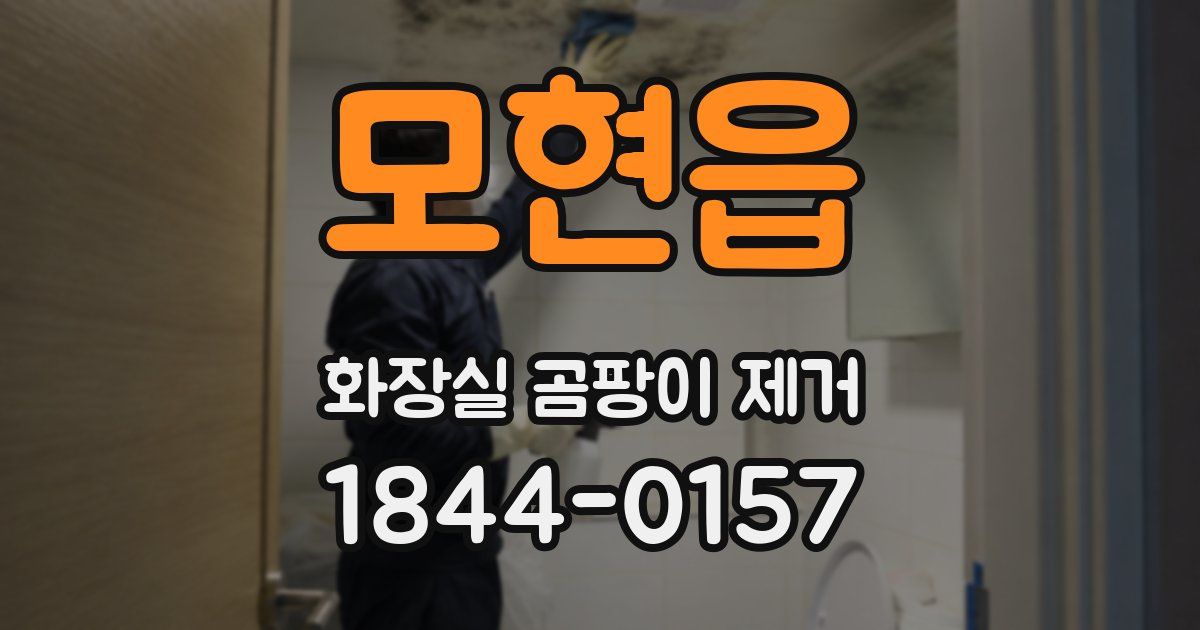 모현읍 화장실 곰팡이 제거