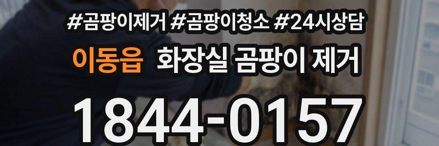 이동읍 화장실 곰팡이 제거