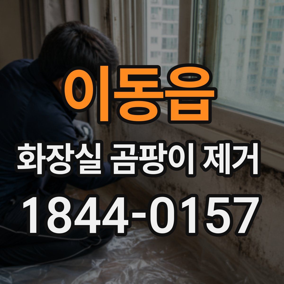 이동읍 화장실 곰팡이 제거