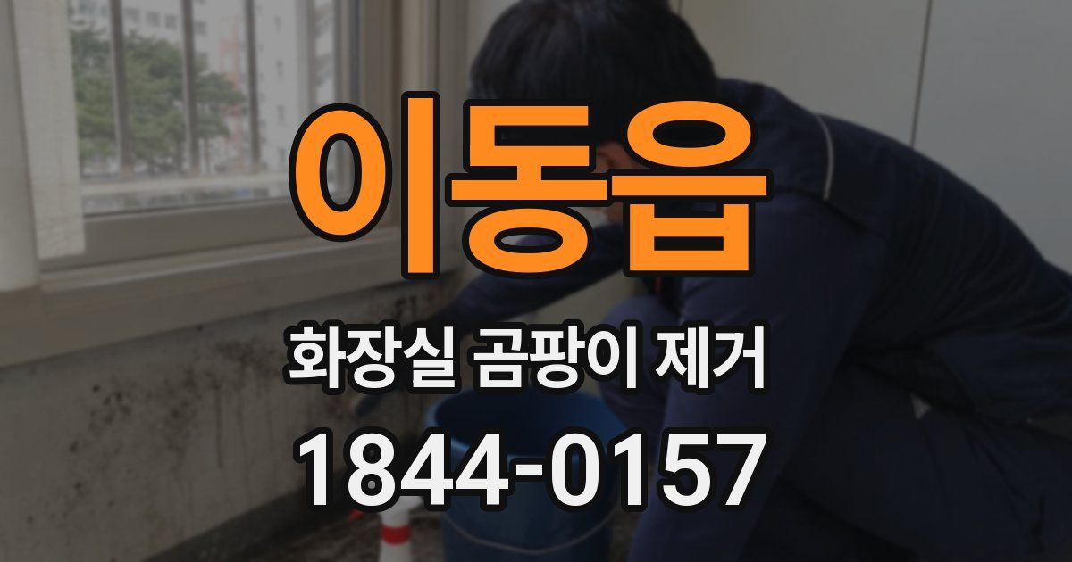 이동읍 화장실 곰팡이 제거