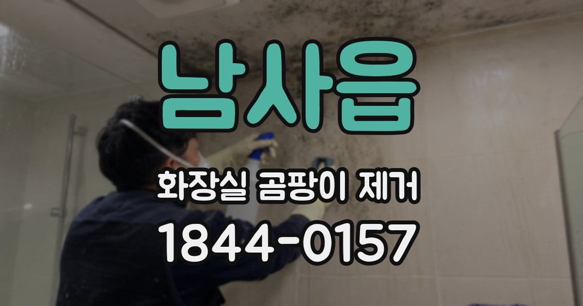 남사읍 화장실 곰팡이 제거