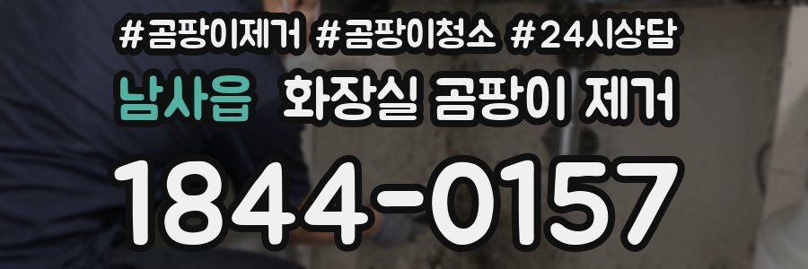 남사읍 화장실 곰팡이 제거