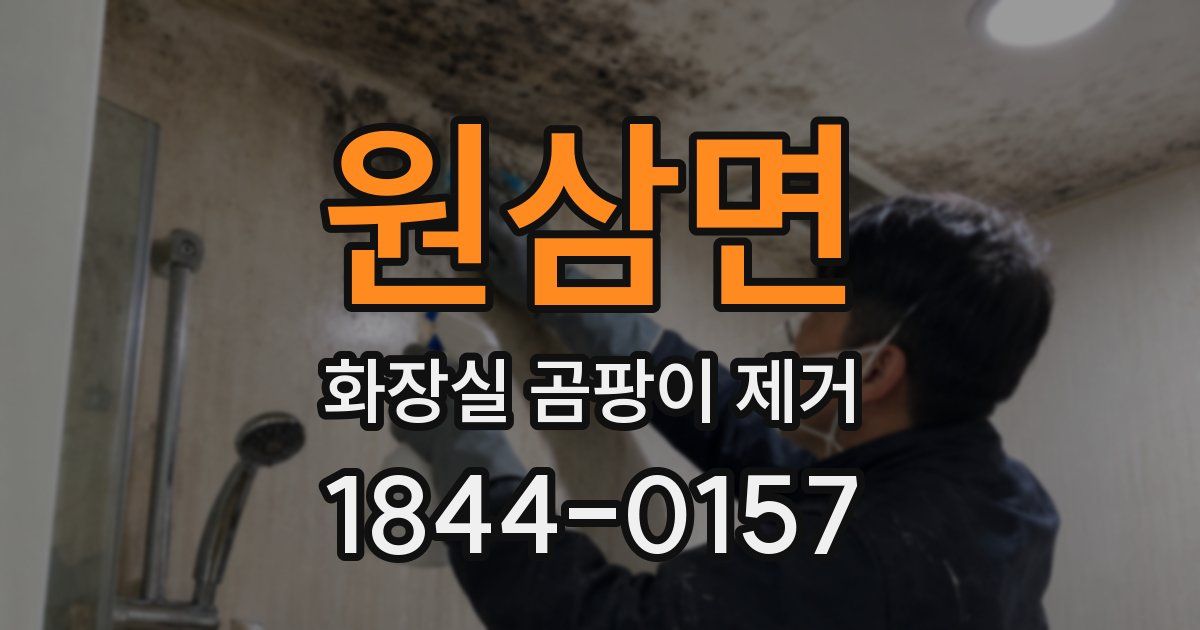 원삼면 화장실 곰팡이 제거
