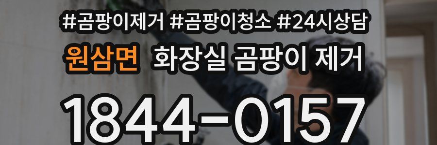 원삼면 화장실 곰팡이 제거