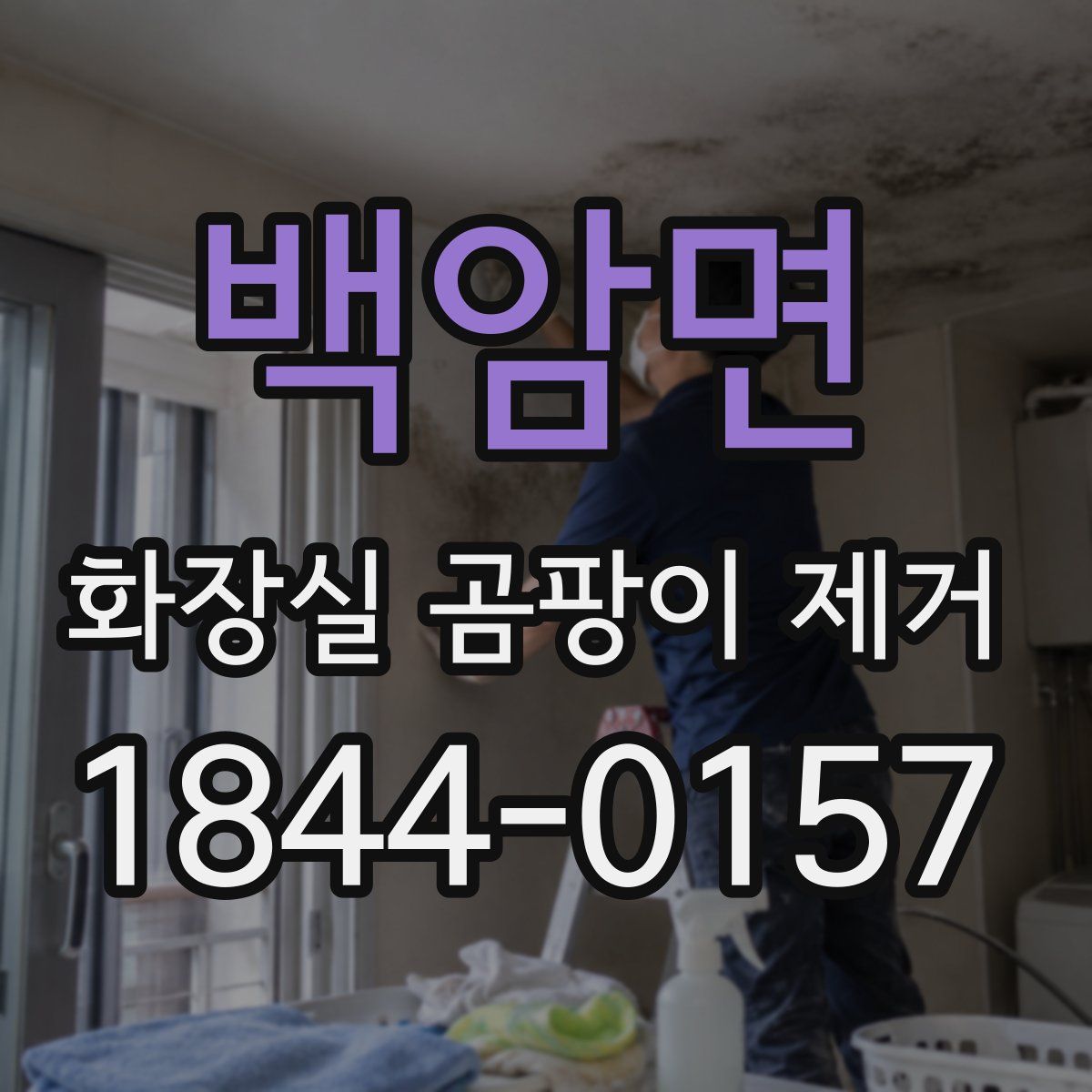 백암면 화장실 곰팡이 제거