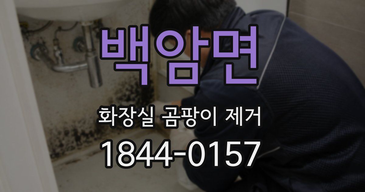 백암면 화장실 곰팡이 제거