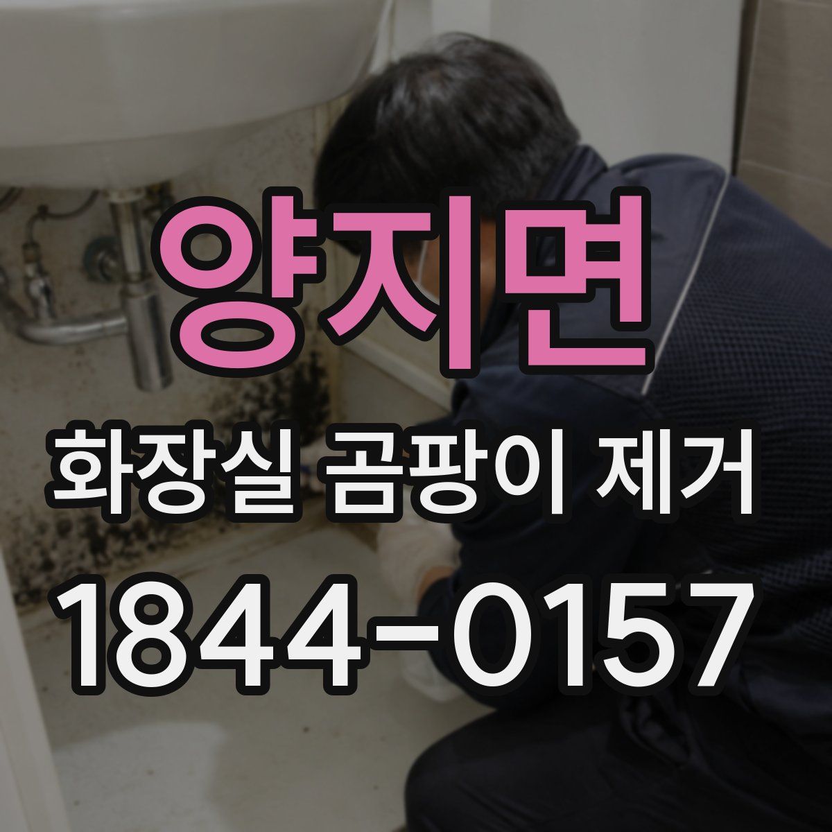 양지면 화장실 곰팡이 제거