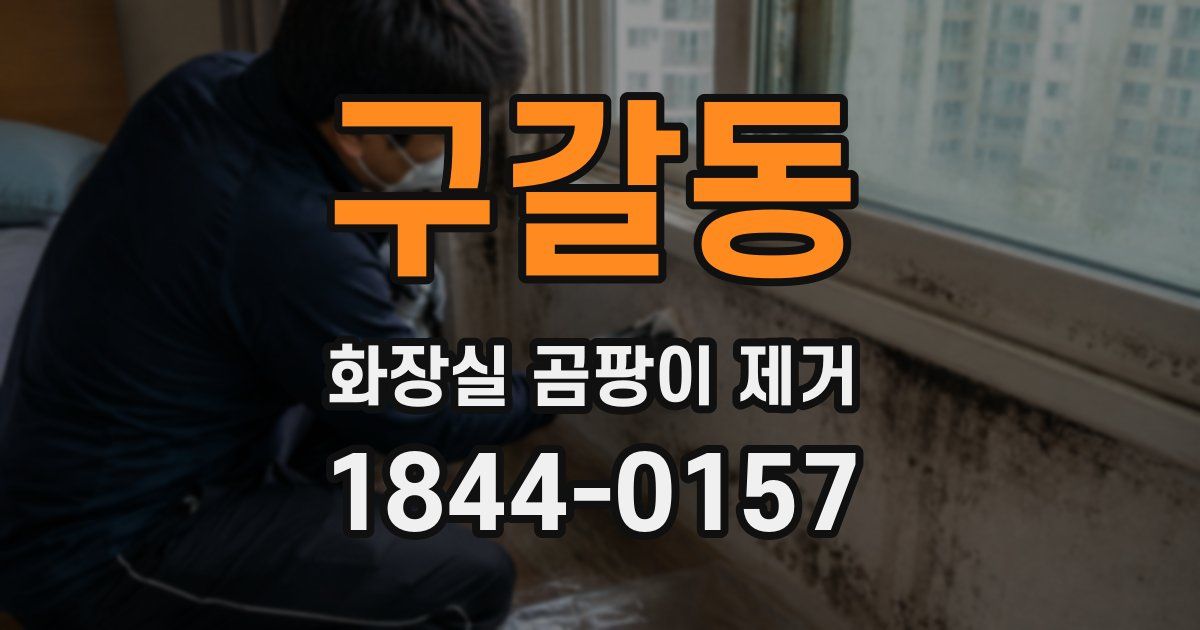 구갈동 화장실 곰팡이 제거