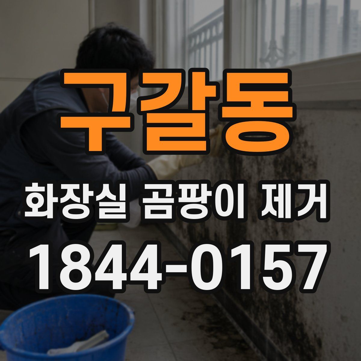 구갈동 화장실 곰팡이 제거