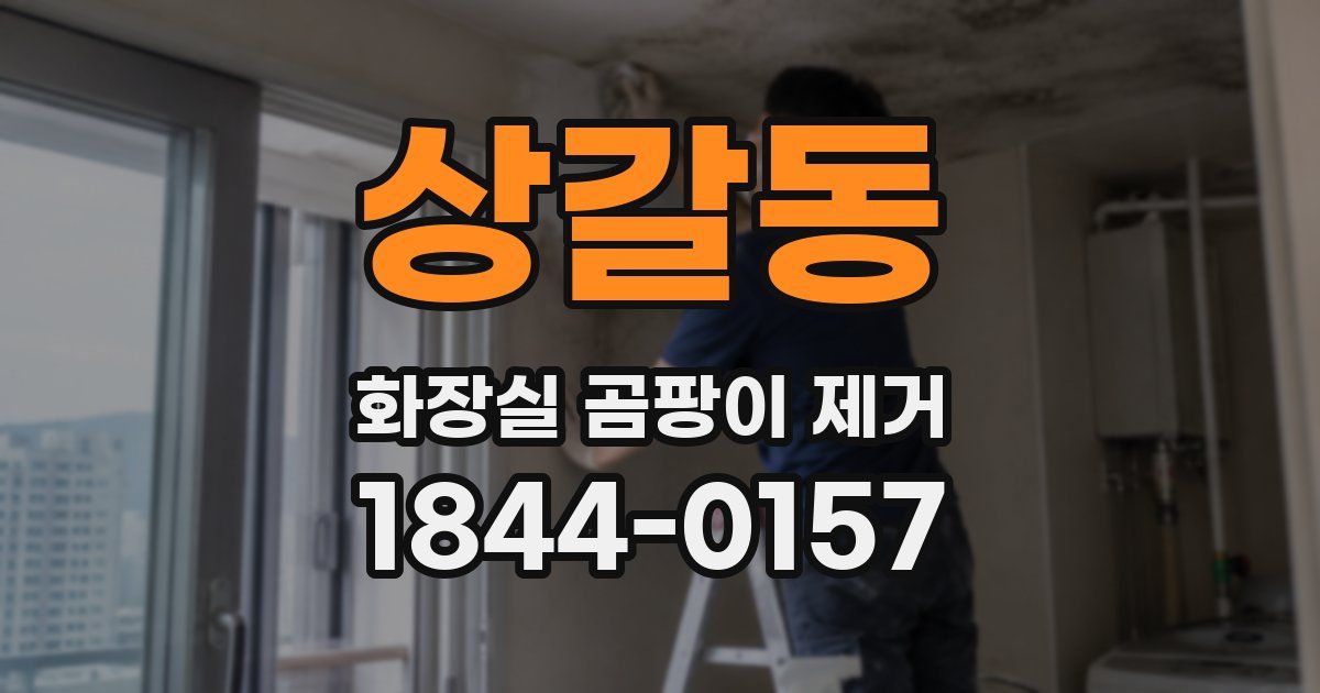 상갈동 화장실 곰팡이 제거
