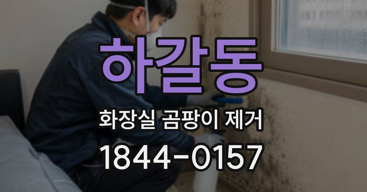 하갈동 화장실 곰팡이 제거