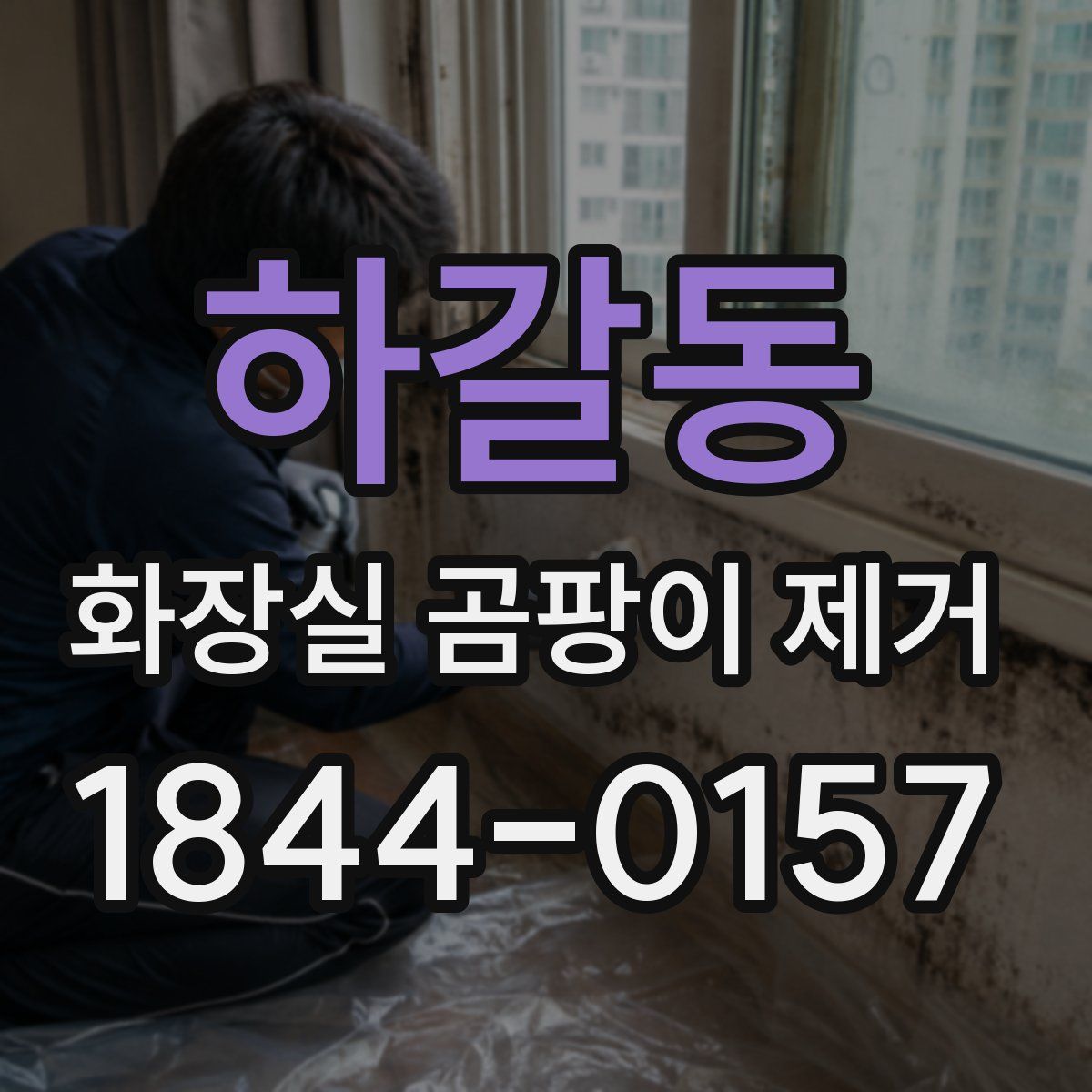 하갈동 화장실 곰팡이 제거