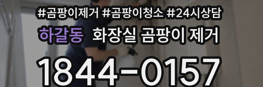 하갈동 화장실 곰팡이 제거