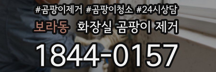 보라동 화장실 곰팡이 제거