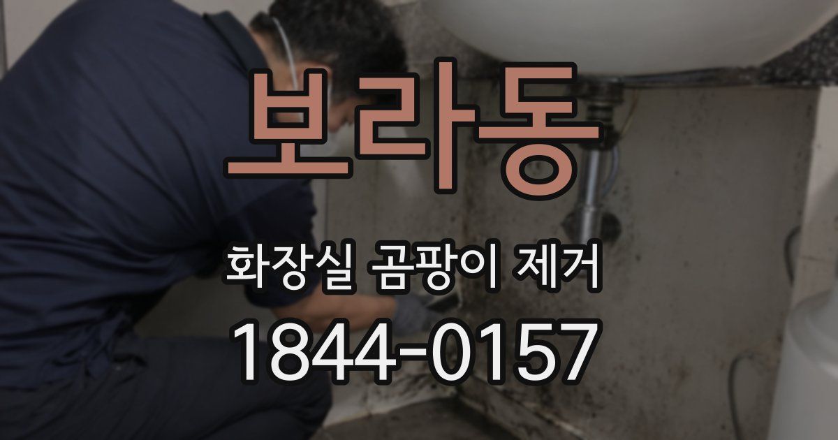 보라동 화장실 곰팡이 제거