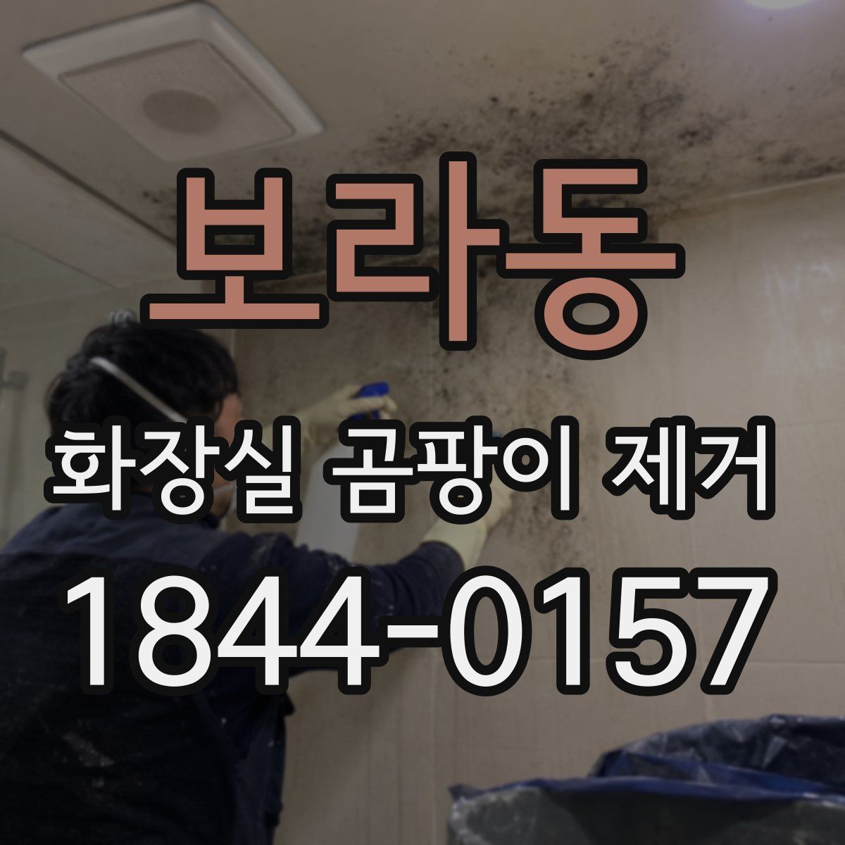 보라동 화장실 곰팡이 제거