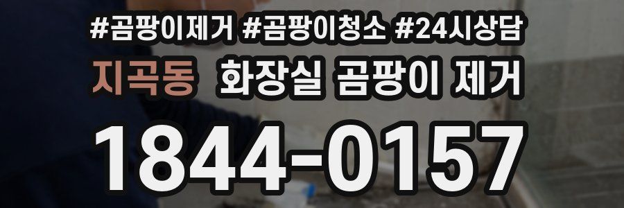 지곡동 화장실 곰팡이 제거