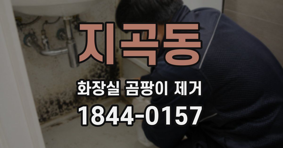 지곡동 화장실 곰팡이 제거