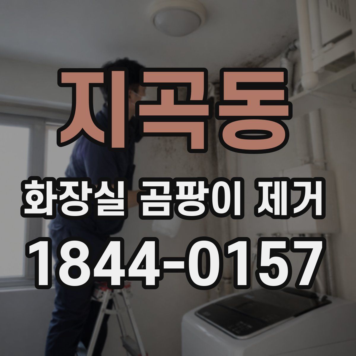 지곡동 화장실 곰팡이 제거