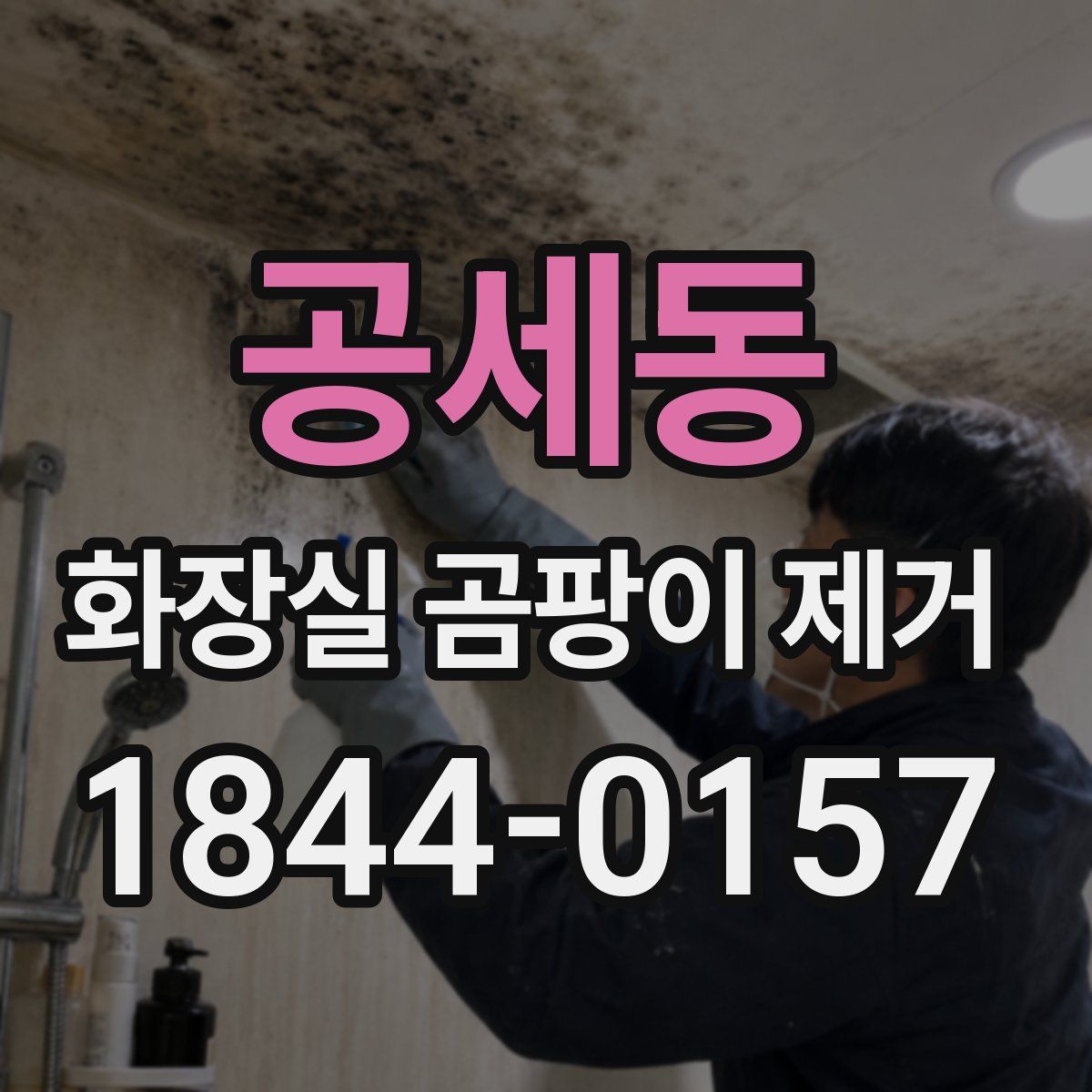 공세동 화장실 곰팡이 제거