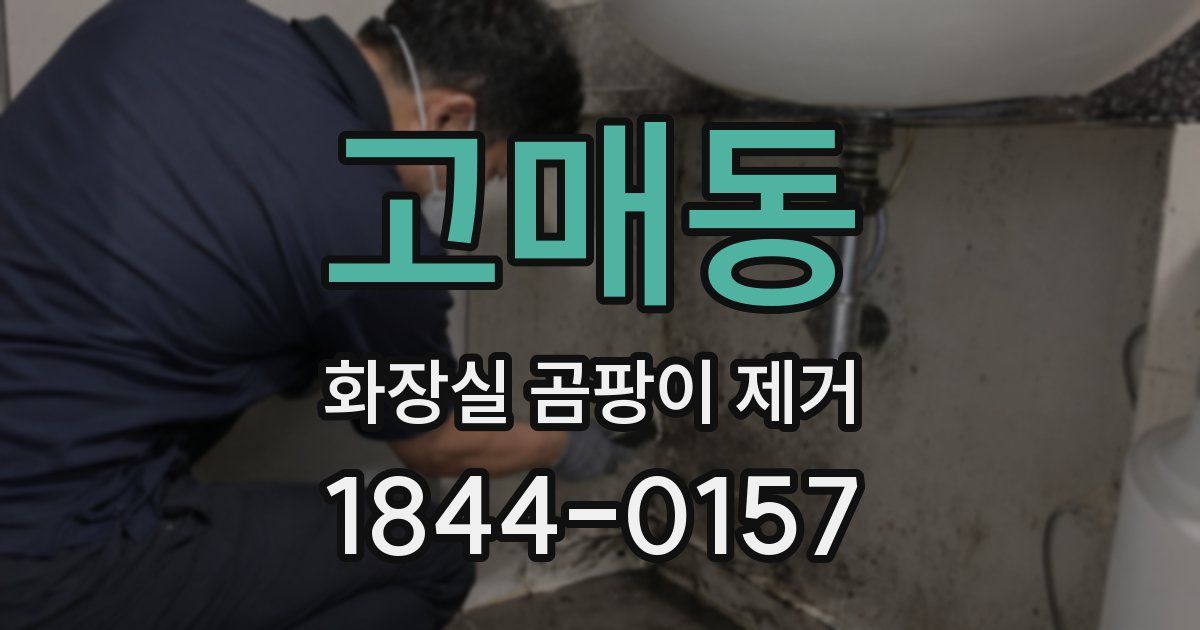 고매동 화장실 곰팡이 제거