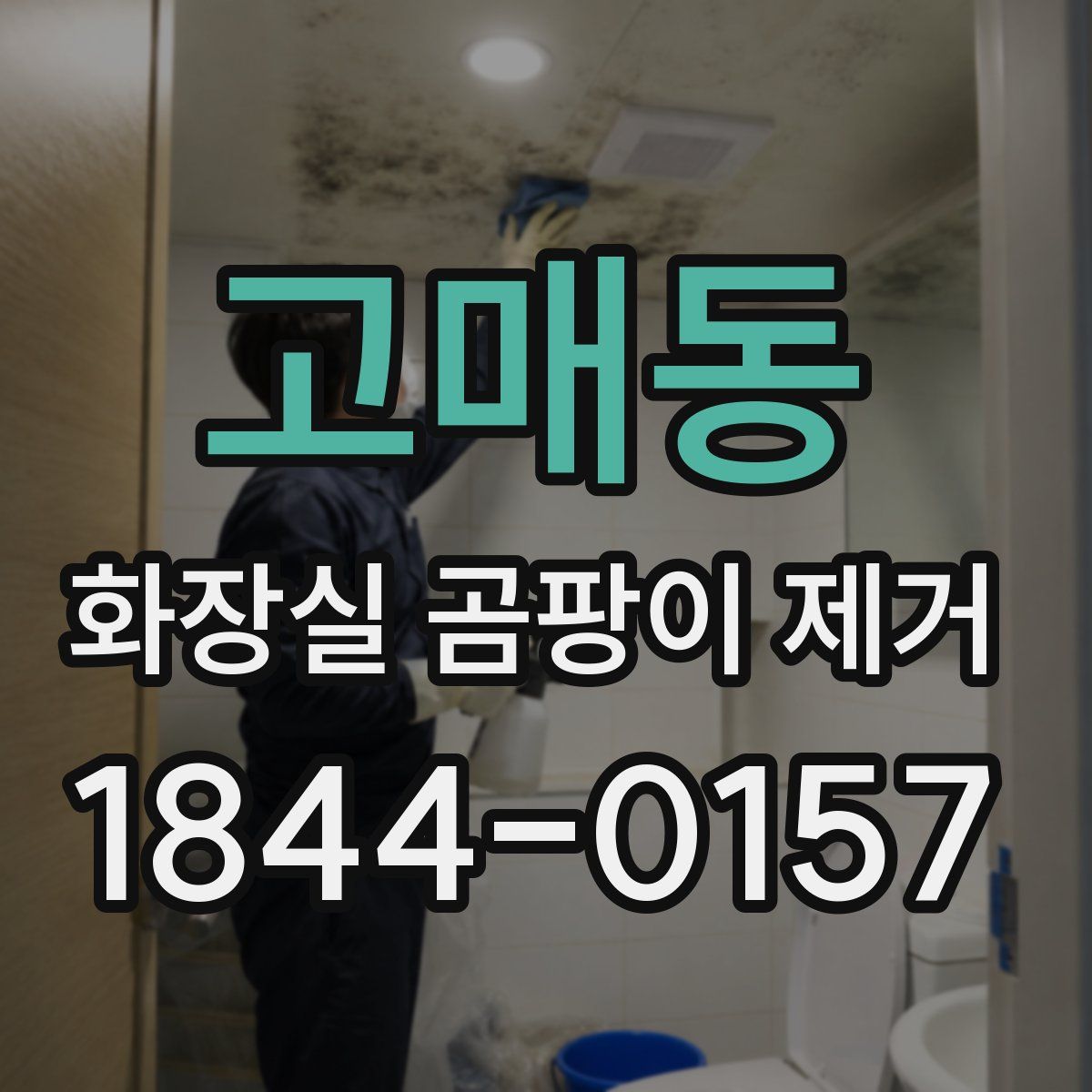 고매동 화장실 곰팡이 제거