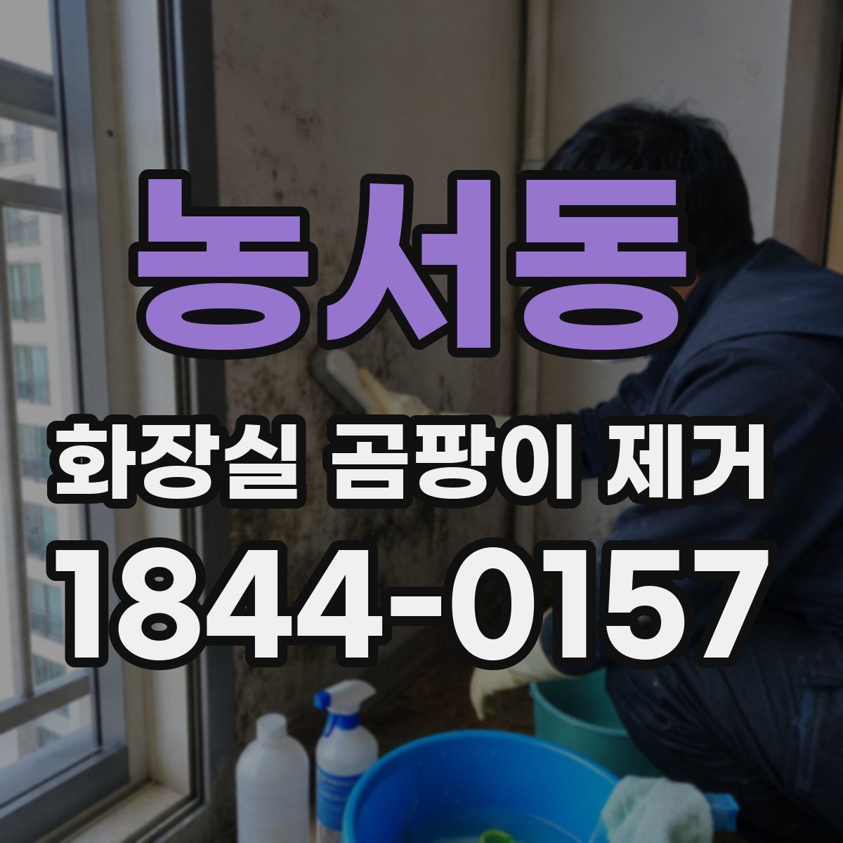 농서동 화장실 곰팡이 제거