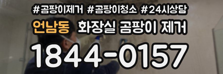 언남동 화장실 곰팡이 제거
